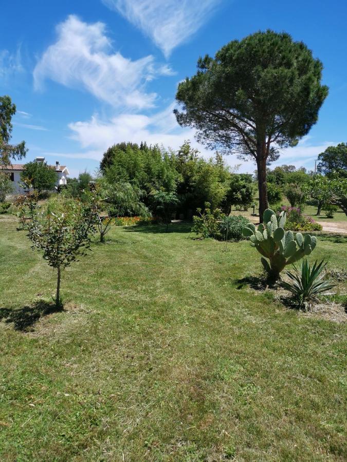 Home Garden Синискола Экстерьер фото