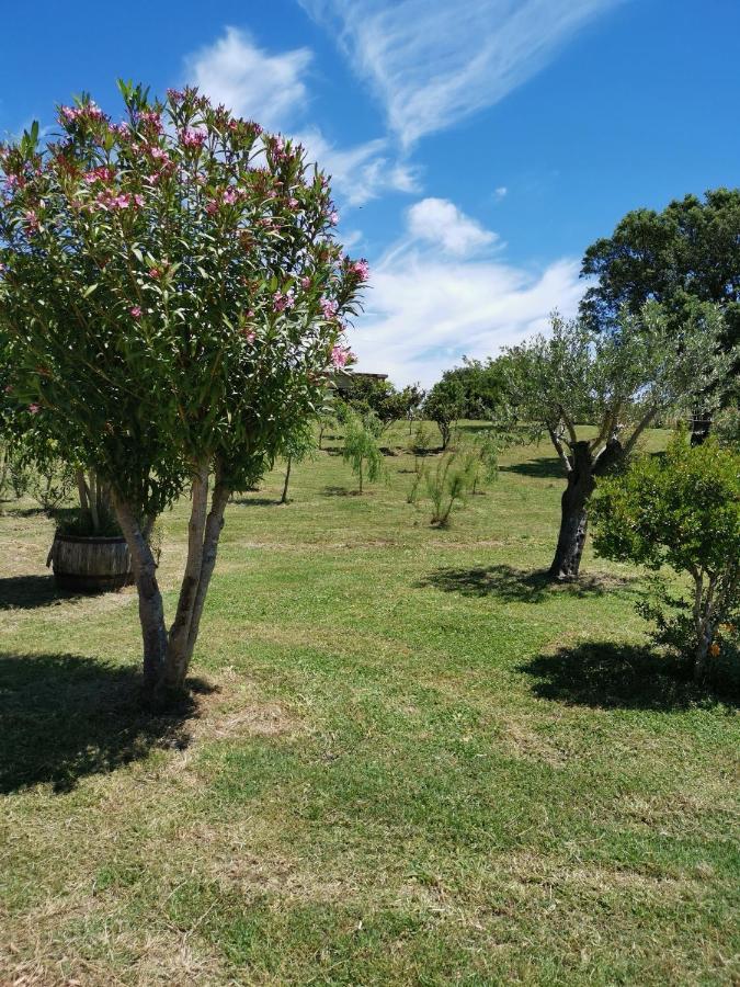 Home Garden Синискола Экстерьер фото