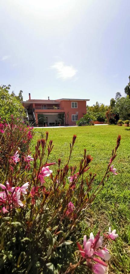 Home Garden Синискола Экстерьер фото